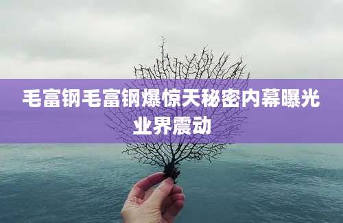 毛富钢毛富钢爆惊天秘密内幕曝光业界震动