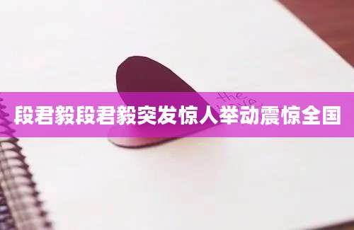 段君毅段君毅突发惊人举动震惊全国