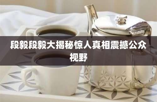 段毅段毅大揭秘惊人真相震撼公众视野