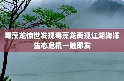 毒藻龙惊世发现毒藻龙再现江湖海洋生态危机一触即发