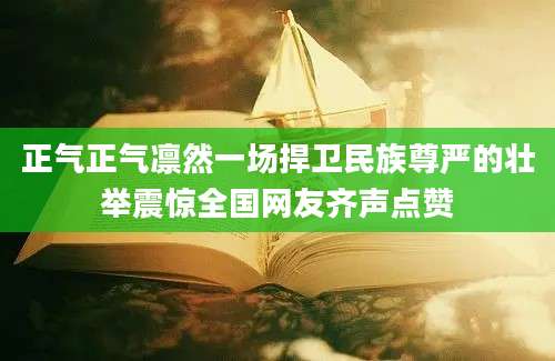 正气正气凛然一场捍卫民族尊严的壮举震惊全国网友齐声点赞