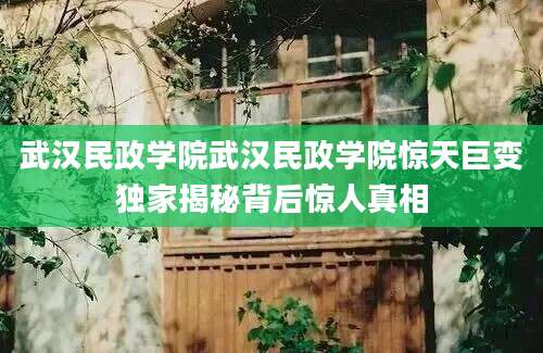 武汉民政学院武汉民政学院惊天巨变独家揭秘背后惊人真相