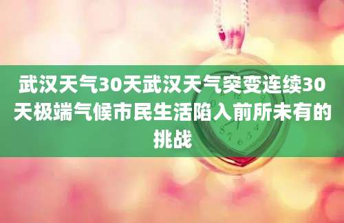 武汉天气30天武汉天气突变连续30天极端气候市民生活陷入前所未有的挑战