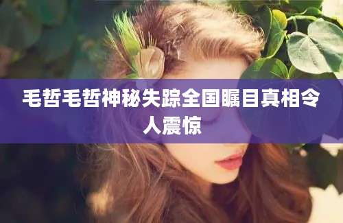 毛哲毛哲神秘失踪全国瞩目真相令人震惊