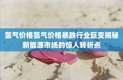 氢气价格氢气价格暴跌行业巨变揭秘新能源市场的惊人转折点