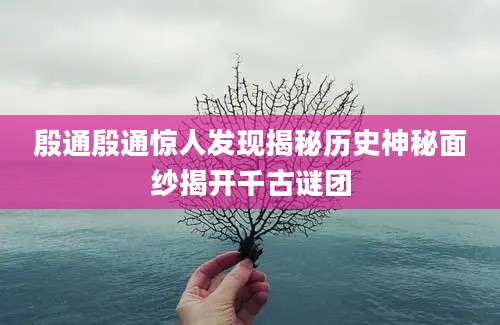 殷通殷通惊人发现揭秘历史神秘面纱揭开千古谜团