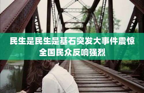 民生是民生是基石突发大事件震惊全国民众反响强烈