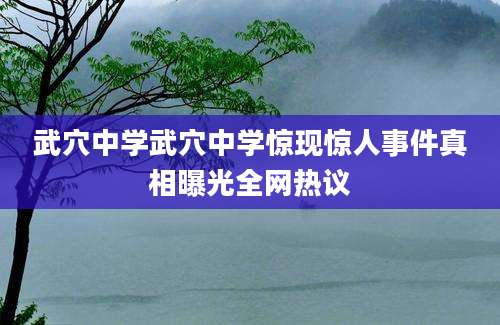 武穴中学武穴中学惊现惊人事件真相曝光全网热议