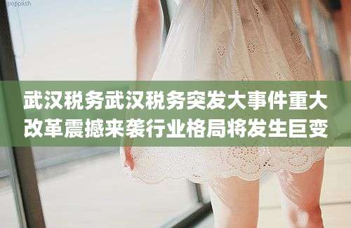 武汉税务武汉税务突发大事件重大改革震撼来袭行业格局将发生巨变