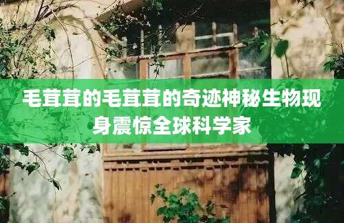 毛茸茸的毛茸茸的奇迹神秘生物现身震惊全球科学家