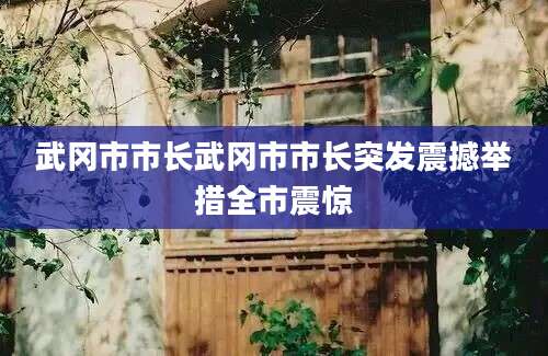 武冈市市长武冈市市长突发震撼举措全市震惊