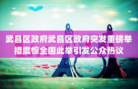 武昌区政府武昌区政府突发重磅举措震惊全国此举引发公众热议