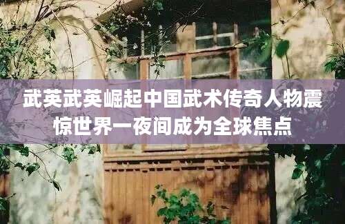 武英武英崛起中国武术传奇人物震惊世界一夜间成为全球焦点