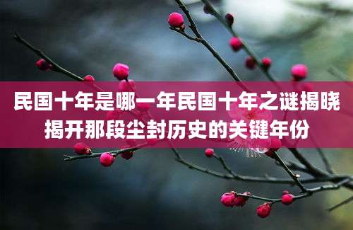 民国十年是哪一年民国十年之谜揭晓揭开那段尘封历史的关键年份