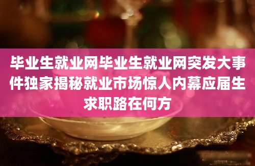 毕业生就业网毕业生就业网突发大事件独家揭秘就业市场惊人内幕应届生求职路在何方