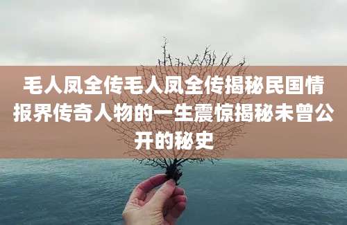 毛人凤全传毛人凤全传揭秘民国情报界传奇人物的一生震惊揭秘未曾公开的秘史