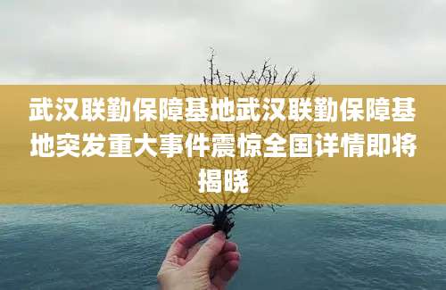 武汉联勤保障基地武汉联勤保障基地突发重大事件震惊全国详情即将揭晓