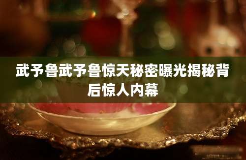 武予鲁武予鲁惊天秘密曝光揭秘背后惊人内幕