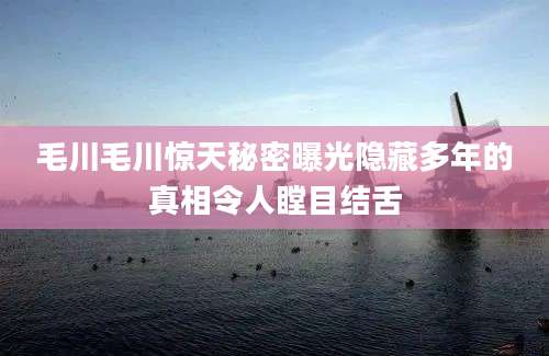 毛川毛川惊天秘密曝光隐藏多年的真相令人瞠目结舌