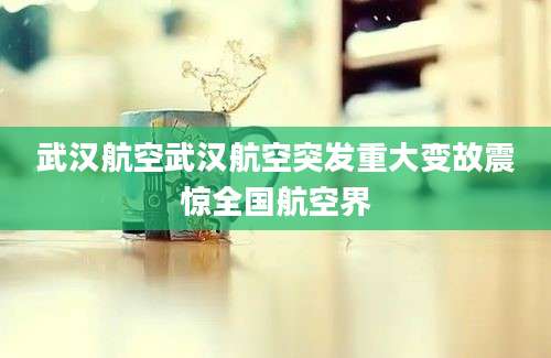 武汉航空武汉航空突发重大变故震惊全国航空界