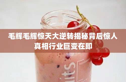 毛辉毛辉惊天大逆转揭秘背后惊人真相行业巨变在即