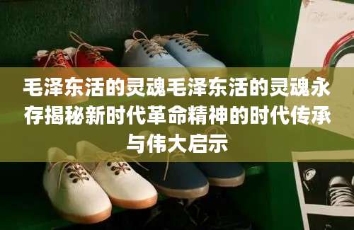 毛泽东活的灵魂毛泽东活的灵魂永存揭秘新时代革命精神的时代传承与伟大启示