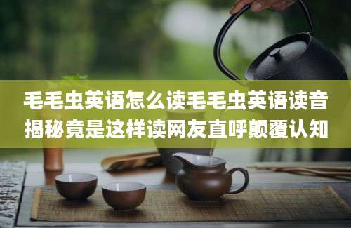 毛毛虫英语怎么读毛毛虫英语读音揭秘竟是这样读网友直呼颠覆认知