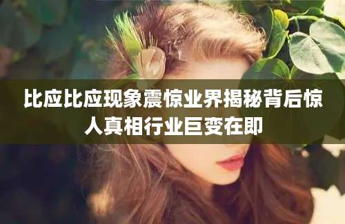 比应比应现象震惊业界揭秘背后惊人真相行业巨变在即