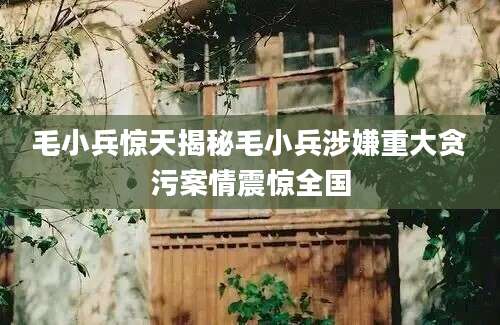 毛小兵惊天揭秘毛小兵涉嫌重大贪污案情震惊全国
