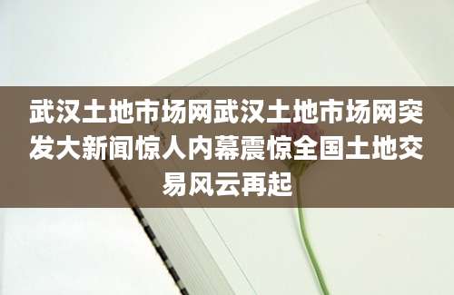 武汉土地市场网武汉土地市场网突发大新闻惊人内幕震惊全国土地交易风云再起