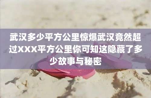 武汉多少平方公里惊爆武汉竟然超过XXX平方公里你可知这隐藏了多少故事与秘密
