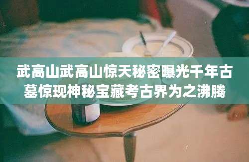 武高山武高山惊天秘密曝光千年古墓惊现神秘宝藏考古界为之沸腾