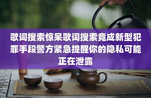 歌词搜索惊呆歌词搜索竟成新型犯罪手段警方紧急提醒你的隐私可能正在泄露