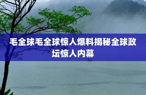 毛全球毛全球惊人爆料揭秘全球政坛惊人内幕