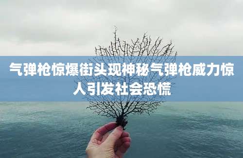 气弹枪惊爆街头现神秘气弹枪威力惊人引发社会恐慌