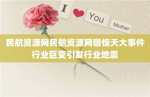 民航资源网民航资源网曝惊天大事件行业巨变引发行业地震