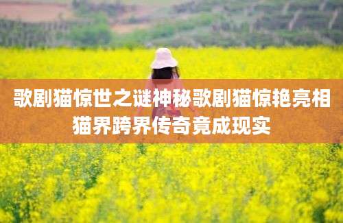 歌剧猫惊世之谜神秘歌剧猫惊艳亮相猫界跨界传奇竟成现实