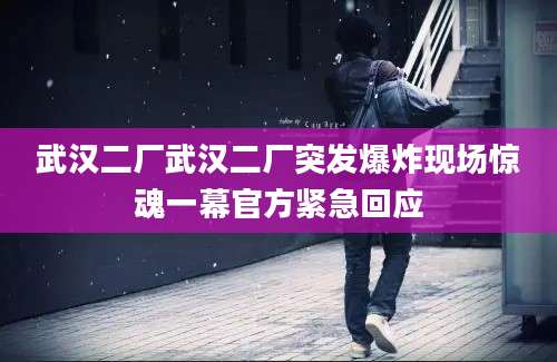 武汉二厂武汉二厂突发爆炸现场惊魂一幕官方紧急回应