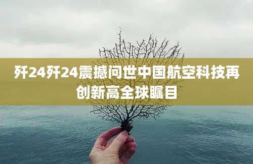 歼24歼24震撼问世中国航空科技再创新高全球瞩目