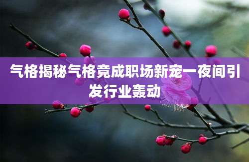 气格揭秘气格竟成职场新宠一夜间引发行业轰动