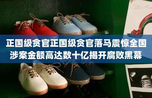 正国级贪官正国级贪官落马震惊全国涉案金额高达数十亿揭开腐败黑幕