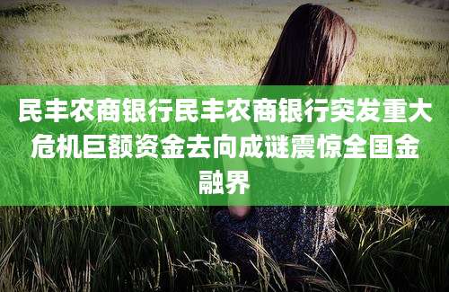 民丰农商银行民丰农商银行突发重大危机巨额资金去向成谜震惊全国金融界