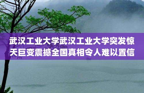 武汉工业大学武汉工业大学突发惊天巨变震撼全国真相令人难以置信
