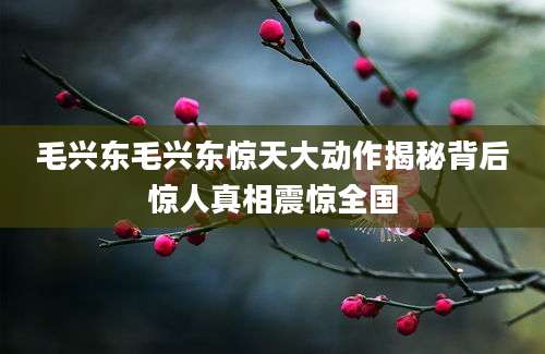 毛兴东毛兴东惊天大动作揭秘背后惊人真相震惊全国