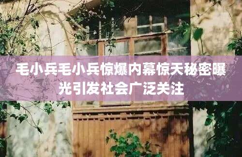 毛小兵毛小兵惊爆内幕惊天秘密曝光引发社会广泛关注