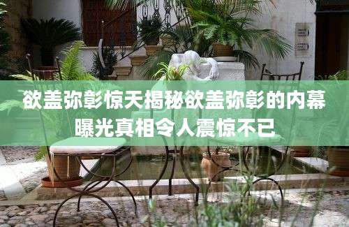 欲盖弥彰惊天揭秘欲盖弥彰的内幕曝光真相令人震惊不已