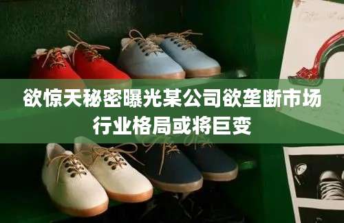欲惊天秘密曝光某公司欲垄断市场行业格局或将巨变