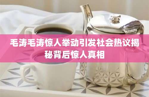 毛涛毛涛惊人举动引发社会热议揭秘背后惊人真相