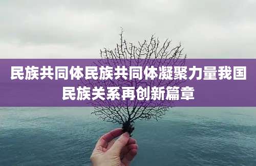 民族共同体民族共同体凝聚力量我国民族关系再创新篇章