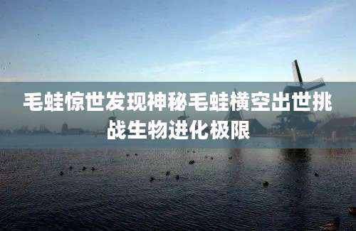 毛蛙惊世发现神秘毛蛙横空出世挑战生物进化极限